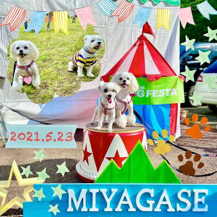 Ba535174 275e 4954 8ab5 02917d664431 1621784267227