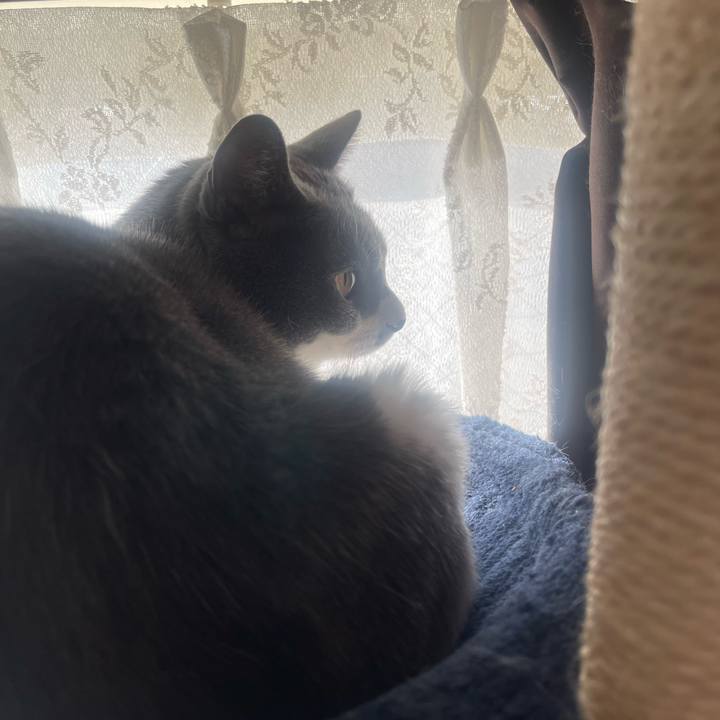 Ba535670 bf8b 40ff 8319 ad091048a840 1701993177015