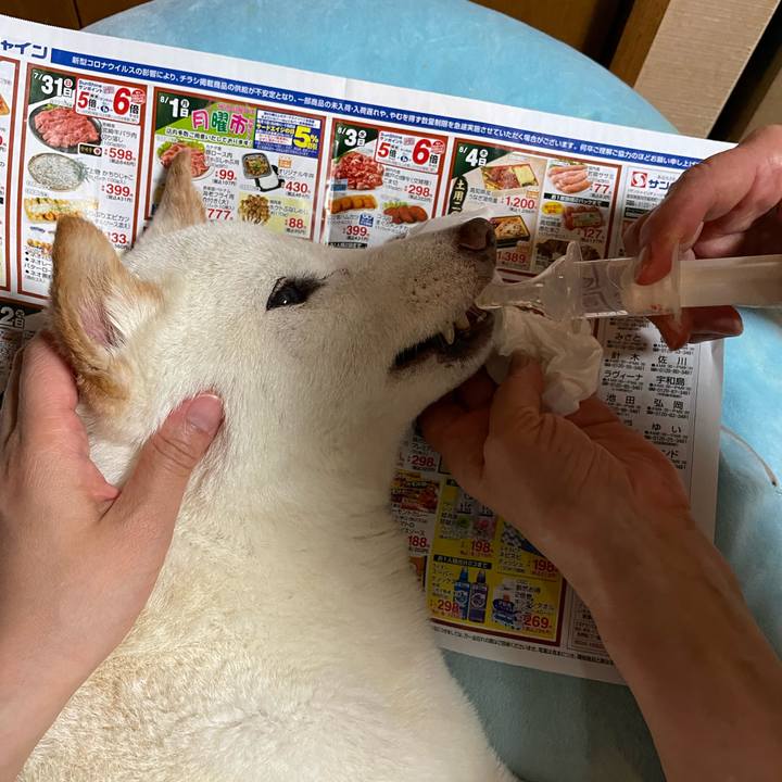 Ba537d51 8616 4976 ae2a 189cc04a712e 1659516948505