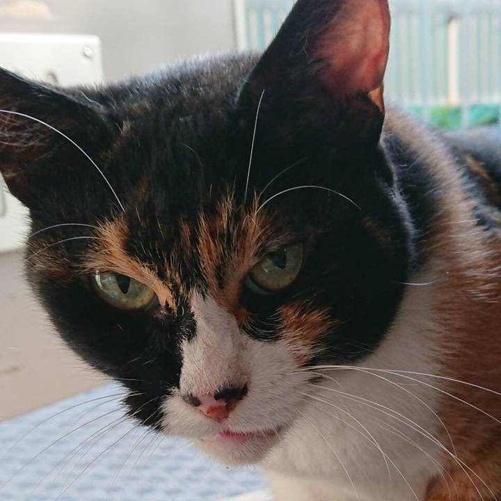 Ba53ba52 7c01 4014 8c97 0396be463d5c 1533223359880