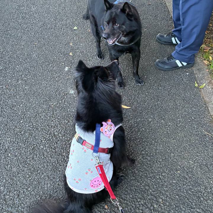 Ba53cc79 6154 4134 b022 e4ee9451f9b2 1761781328187