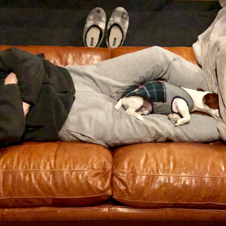 Ba53cdb3 0a03 4e10 a3d2 26c413bbc877 1542456815954