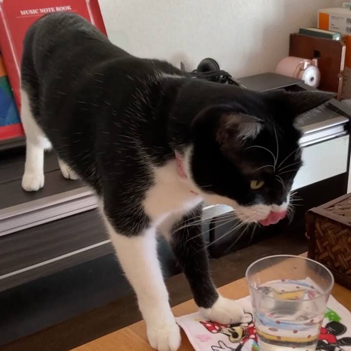 Ba53eef3 a70f 4e69 94d8 499ab092c89c 1639124144912