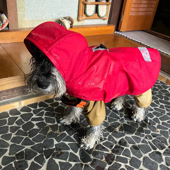 Ba54032f cd7b 49df b385 bd1da28dfaeb 1732976314893