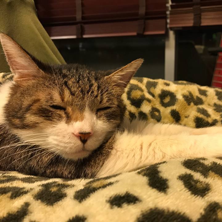 Ba540e5c ee61 49fc aa14 04e967397caf 1572692623760