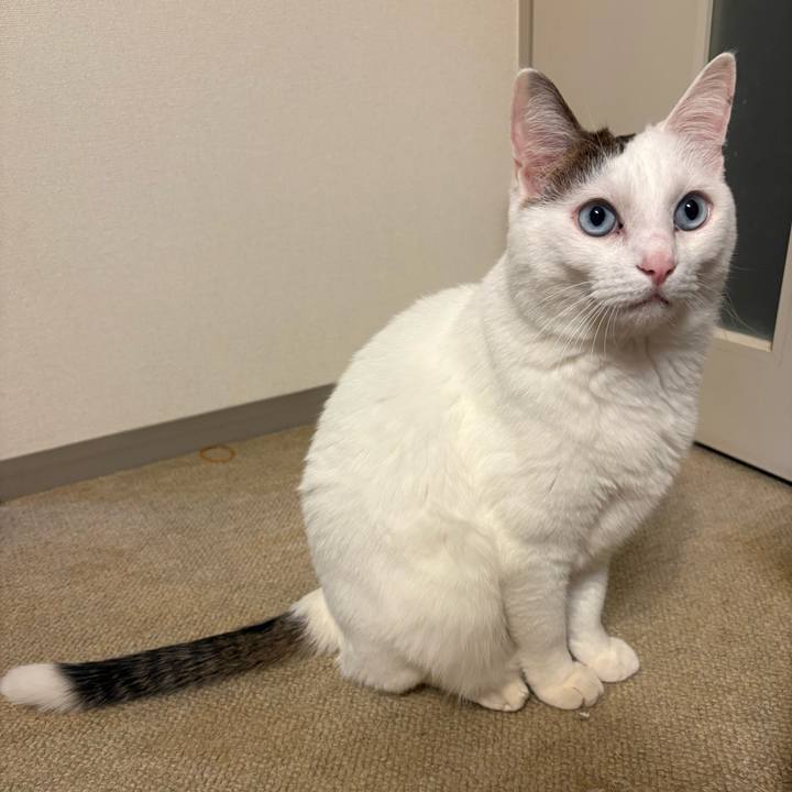 Ba54507a 0a17 49f5 a930 cf8ba3814271 1767132861284