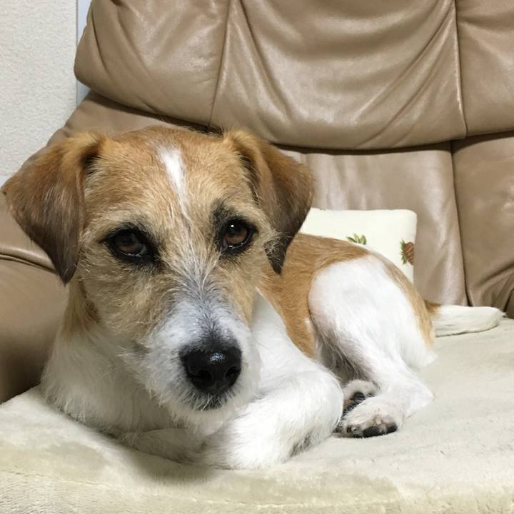 Ba548c37 6a70 4ac0 9d2b 30ef2907d74b 1546426446485