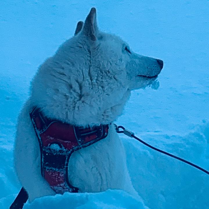 Ba54c7df 470d 4e50 82b0 e2e7fe29a02c 1641427245827