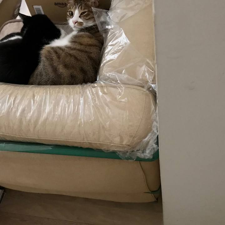 Ba54eea0 7c93 40b4 b169 09d81aacdfaf 1512018465698