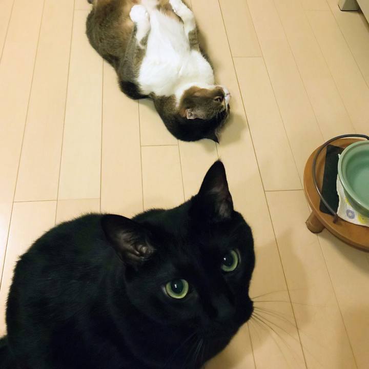 Ba553567 87c3 481c b8e5 26884a5fb276 1757594073023