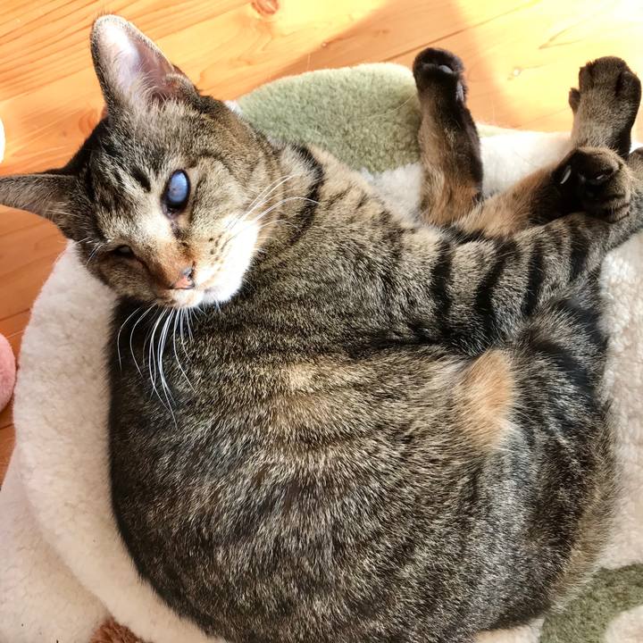 Ba5571ff b67a 4fc4 9008 b95c38342416 1548143357075