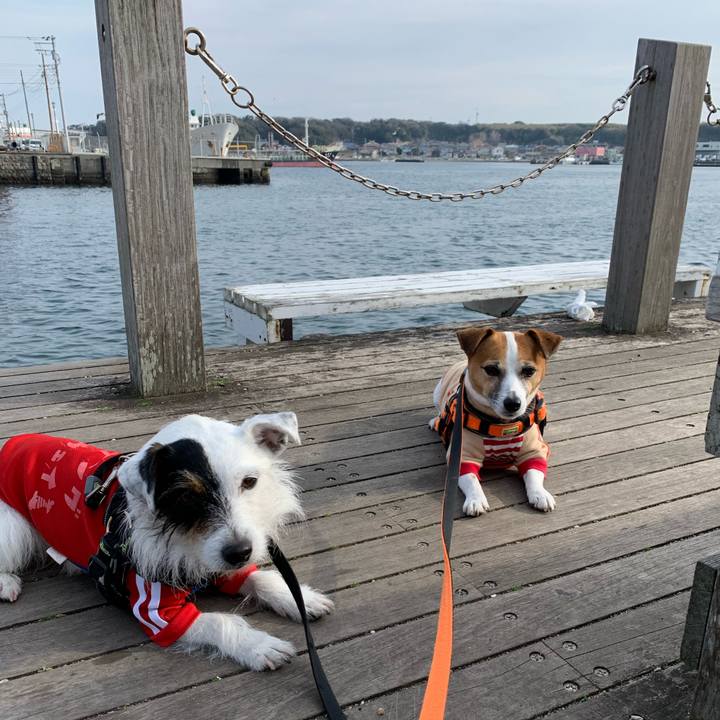 Ba557a8c ce55 4944 843c bed9d1c2a27b 1583052240221