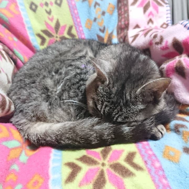 Ba5586d3 7d15 47b8 bca6 a0e5417d6cc1 1584567666302