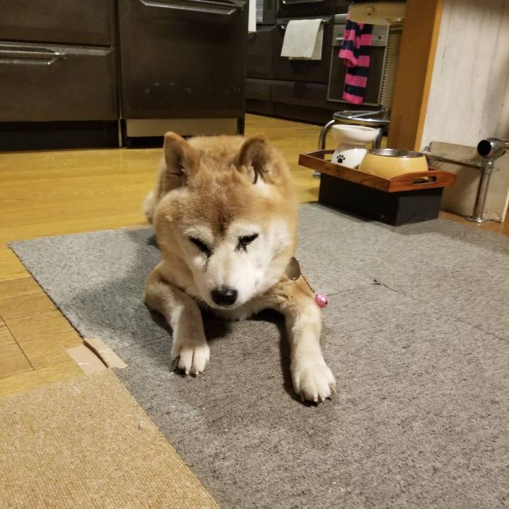 Ba55ab31 5b92 4a76 b323 9751fae64d52 1769242393991