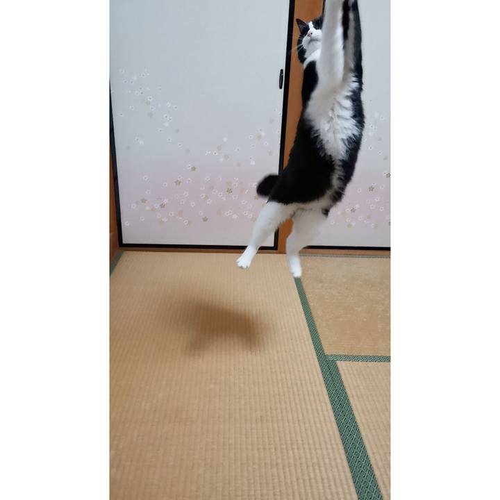 Ba55b27b b562 4610 be45 5df85a556c35 1611562688370