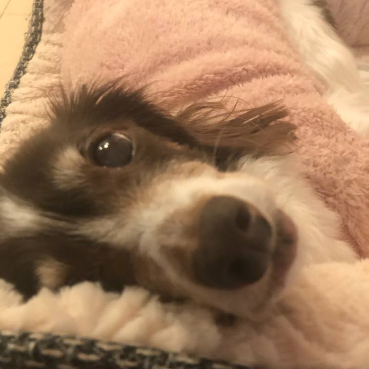 Ba55b612 0220 4b6d 9abf 1bfa622bcfec 1609420863964