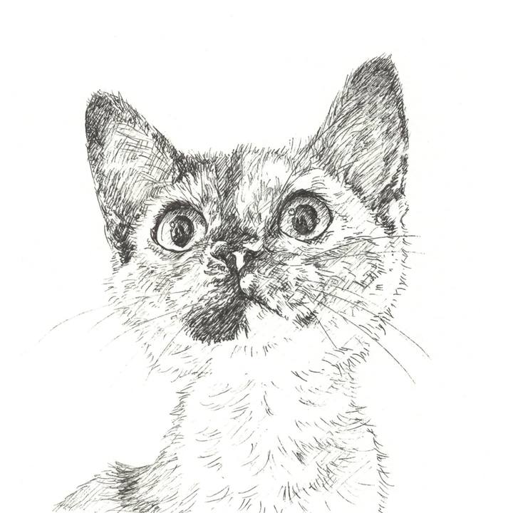 Ba55dc04 c07a 448f a70c a7d34c0b2b8a 1570976114875