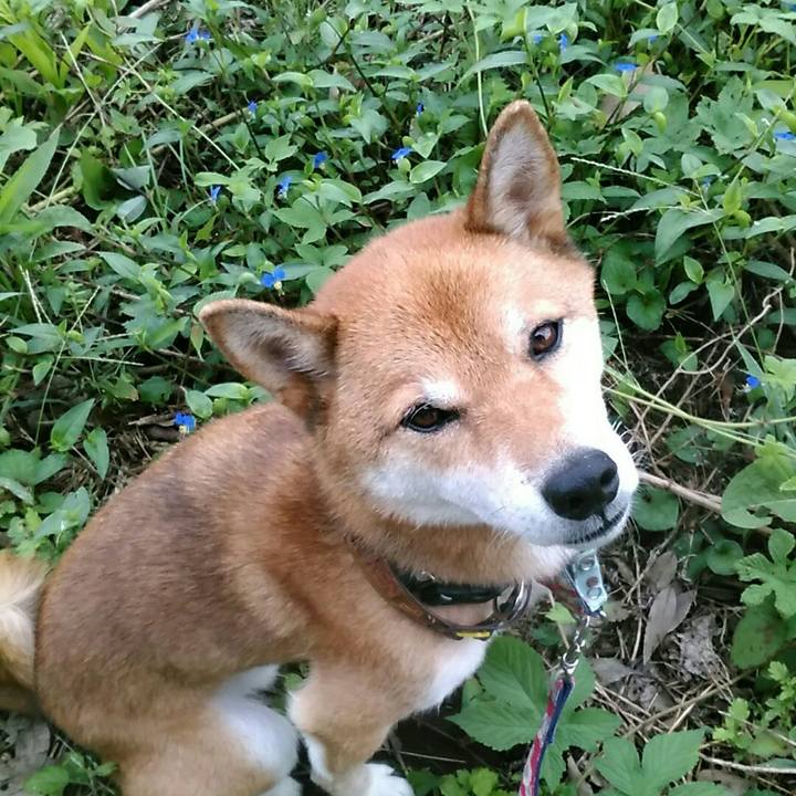 Ba55f789 0f32 46dd b1d6 41fe44b75d4a 1568935538364