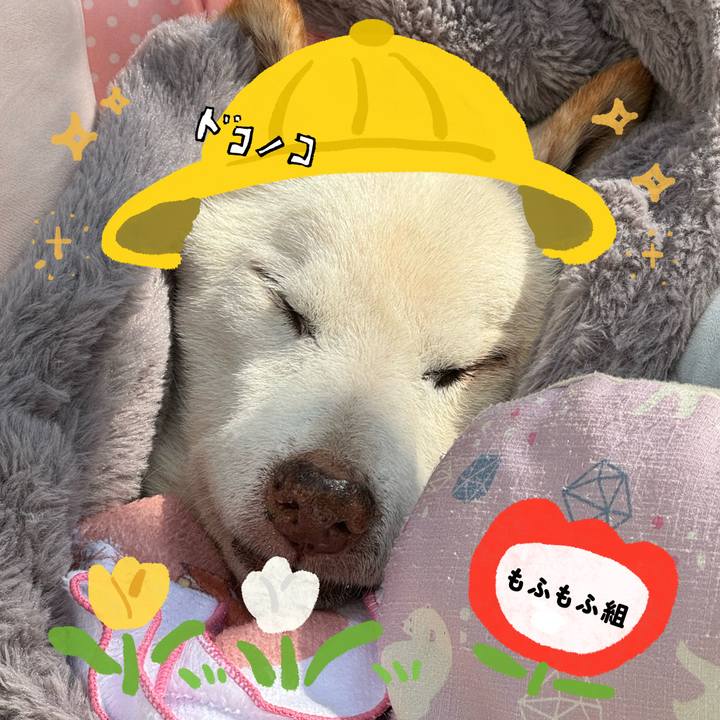 Ba563734 dd8d 48ee 88a3 c1bbcfd66826 1712235967664