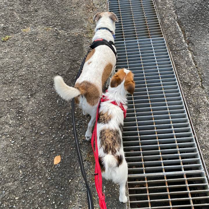 Ba568832 845c 4c15 86b7 cfceaf25e280 1627170149015