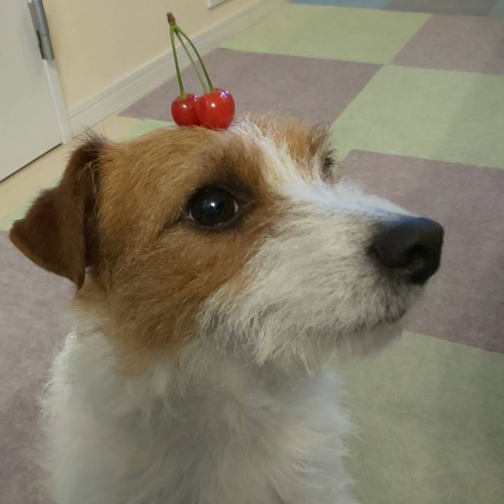 Ba56b30d 9988 4372 866f ed288de9665c 1587596879835