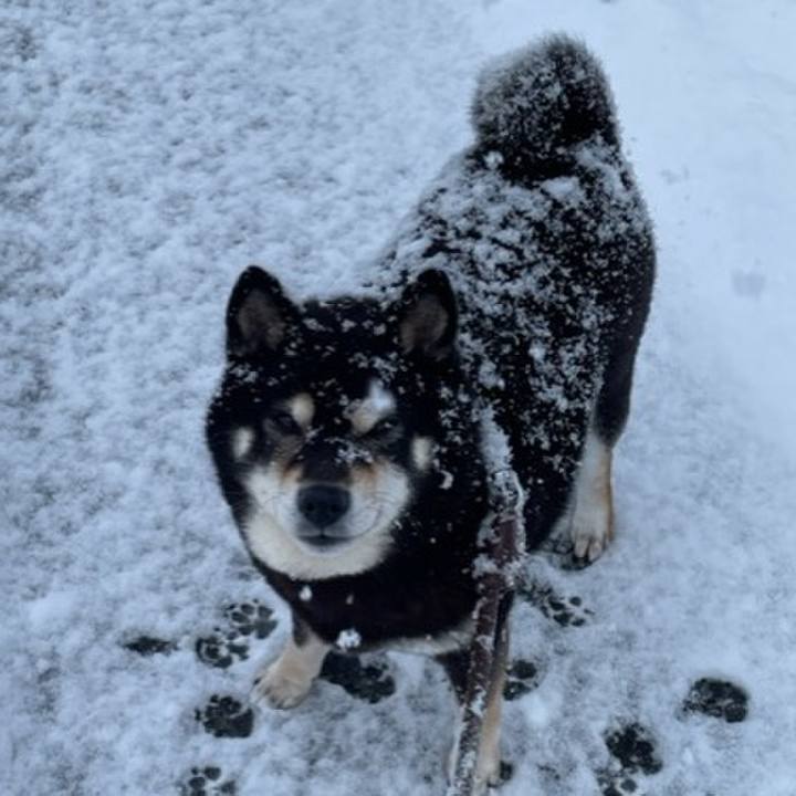 Ba56c4a4 881b 4ff9 8289 5327040eab81 1674643137032