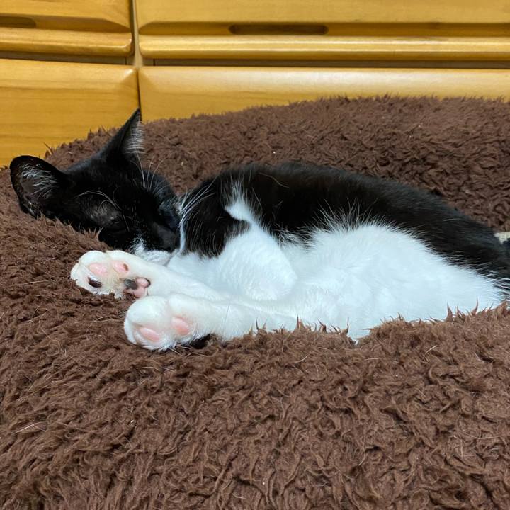 Ba571a59 27d0 4447 81fc 67261409e3b8 1669707420954