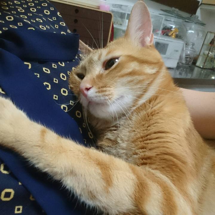 Ba571b08 11b9 42fd 8690 c4dbca567914 1529968286549