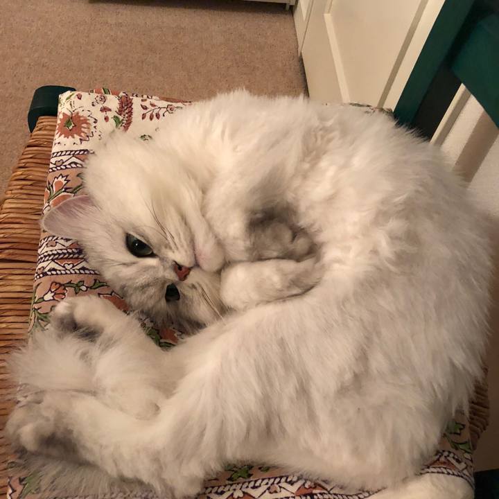 Ba571f18 7f54 4a4c 9043 e4d74ef61fbc 1526905467727