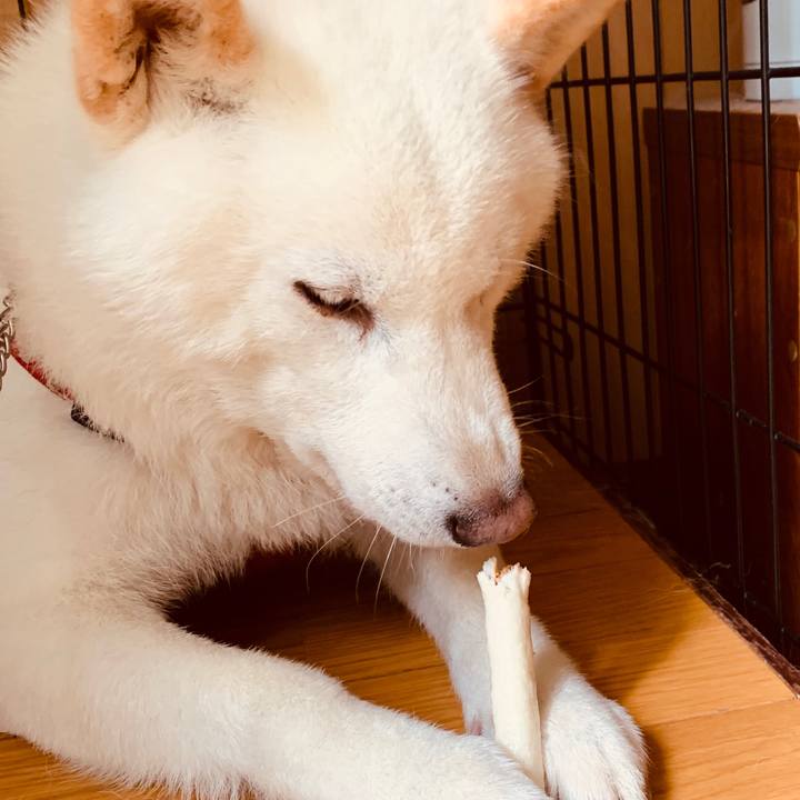 Ba572cee 13fd 4ee4 b849 097cb6253718 1562312508424