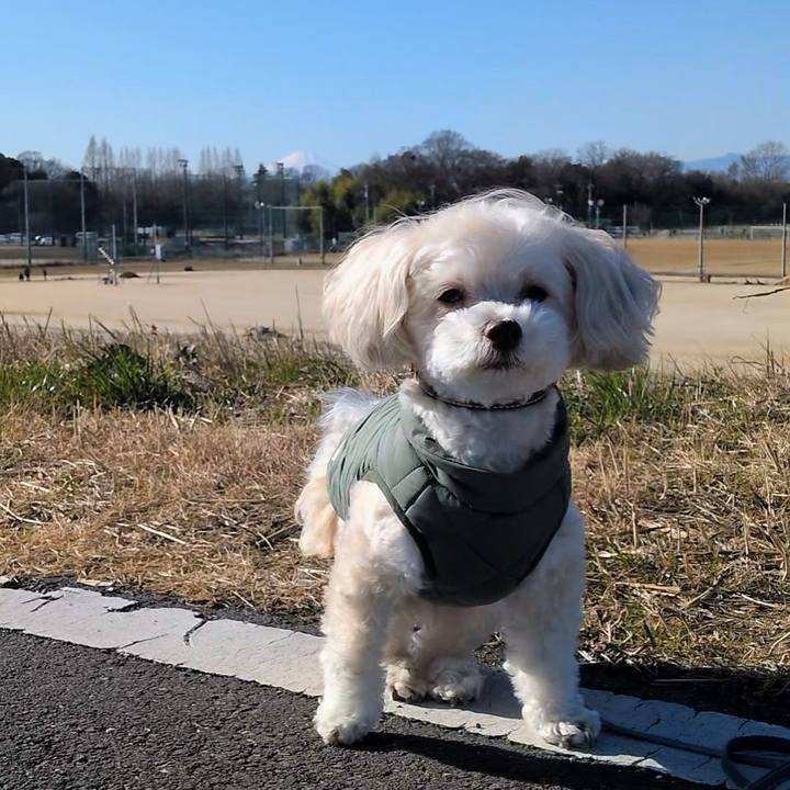 Ba5734fd a508 430a 84e5 ce59f7f53a45 1766891568495