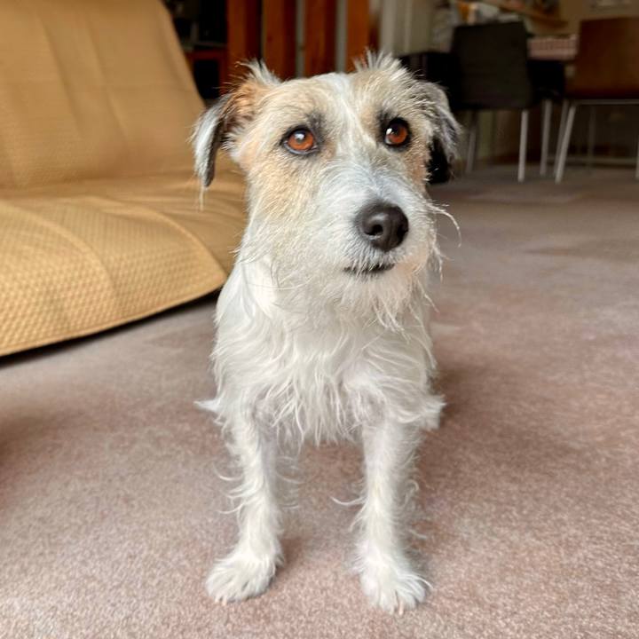 Ba5750ae 2ccd 4e5e 955f 61298a27d201 1709255771889