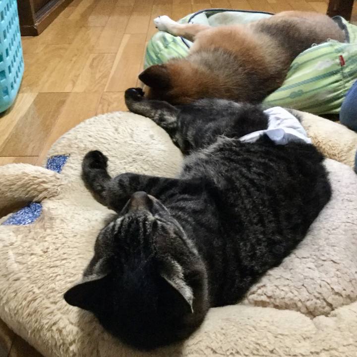 Ba575bf8 9f52 4769 9701 51b8d52a4d7d 1630560154654