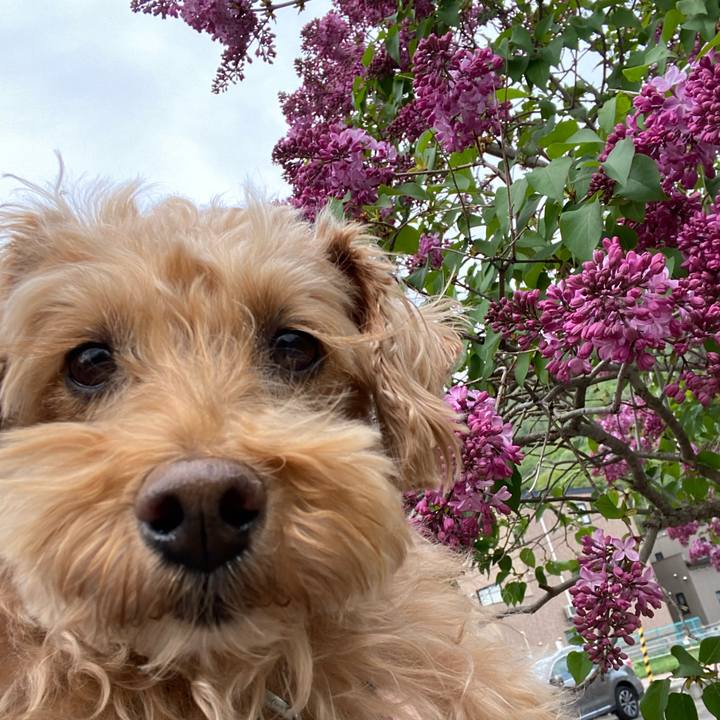 Ba579b78 349e 4eb0 9734 94091dceacd3 1652394311946