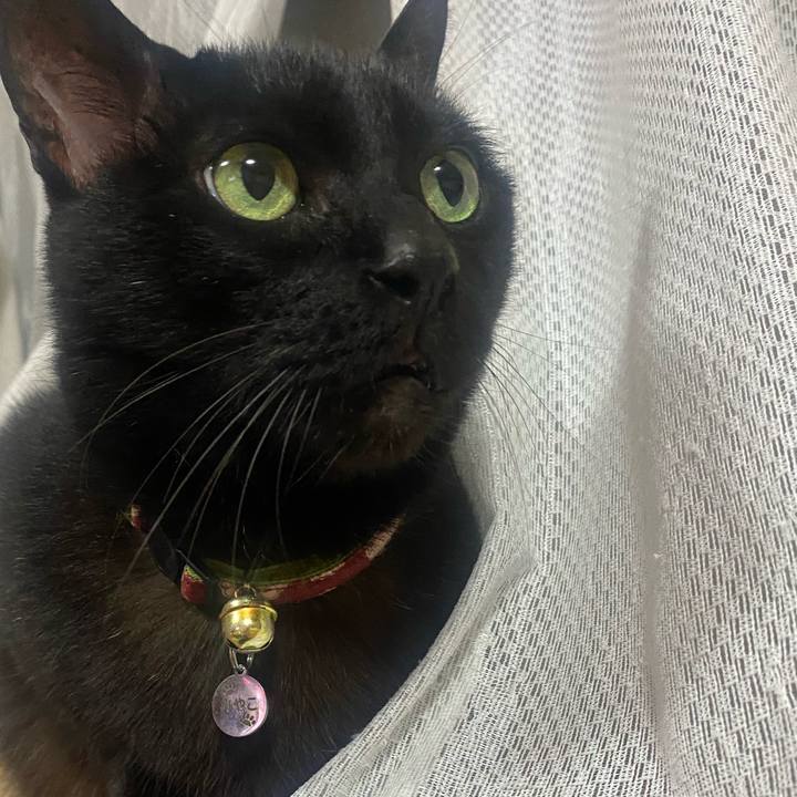 Ba57a973 2ed0 4095 b249 a631613e321a 1653479693843