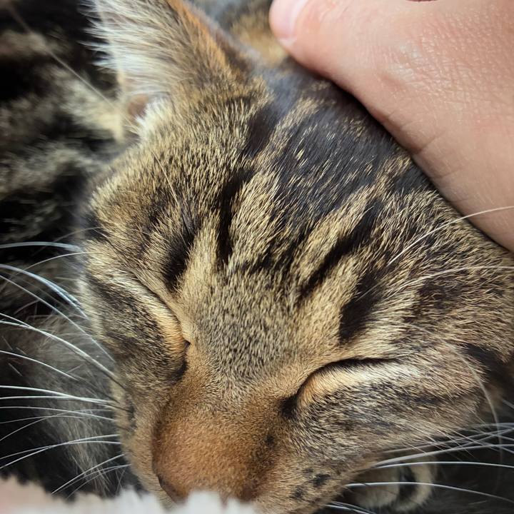 Ba57bf2e 0c04 4db8 8aeb 0349989c41b3 1745018274238