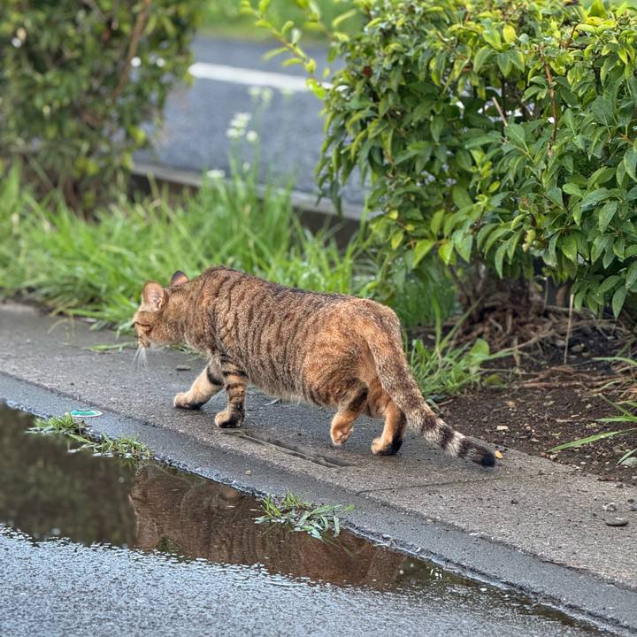 Ba57c891 ef34 45b6 bcb3 41ae8a177e54 1758416250611