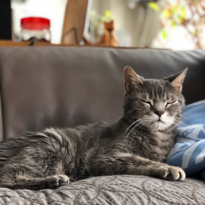 Ba582298 aef5 46f0 b4a4 737e8e3bf64e 1559109571167