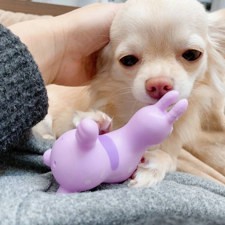 Ba5824ce c0ce 4724 90c1 15b835897ef0 1611055555172