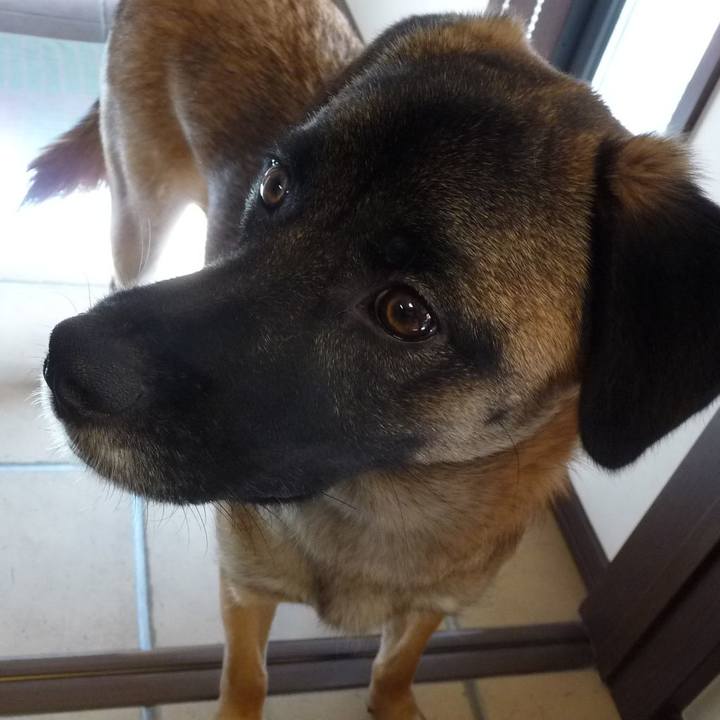 Ba584852 9b92 41f2 a4ca 785a0a0cfc0e 1576462458787