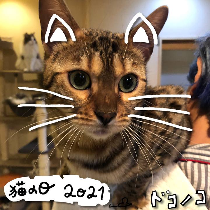 Ba584e4e 8025 4ac8 9067 eae4c56f5699 1613994781778