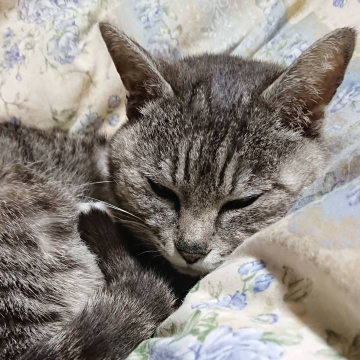 Ba589a72 2a07 4c7f b6fd 73d06a4d443a 1589111030731