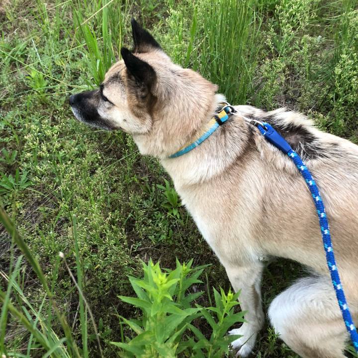 Ba58b312 5486 45b2 9506 dec771a41689 1632314044424