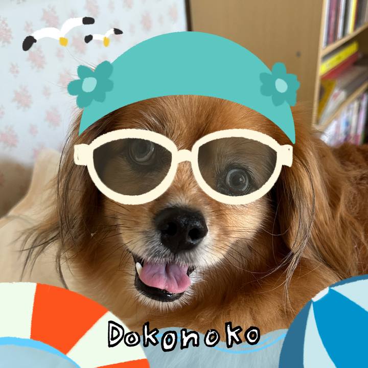 Ba58e910 280a 4a02 afbb 8401550a0eb6 1723676758337