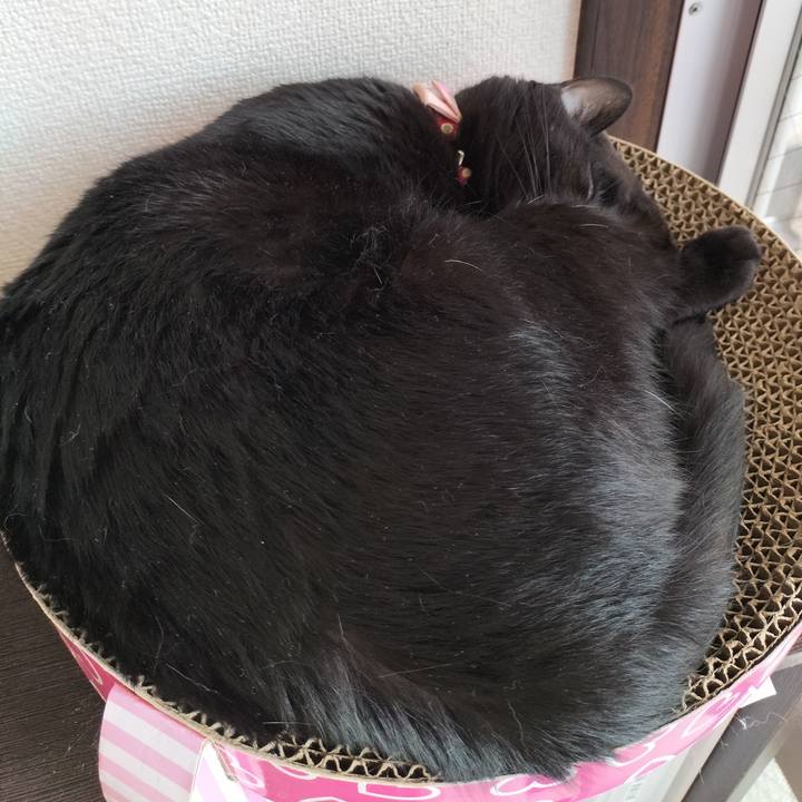 Ba58eea5 9c3b 4fd1 8dcc 8a9e9e0a1577 1660109852955