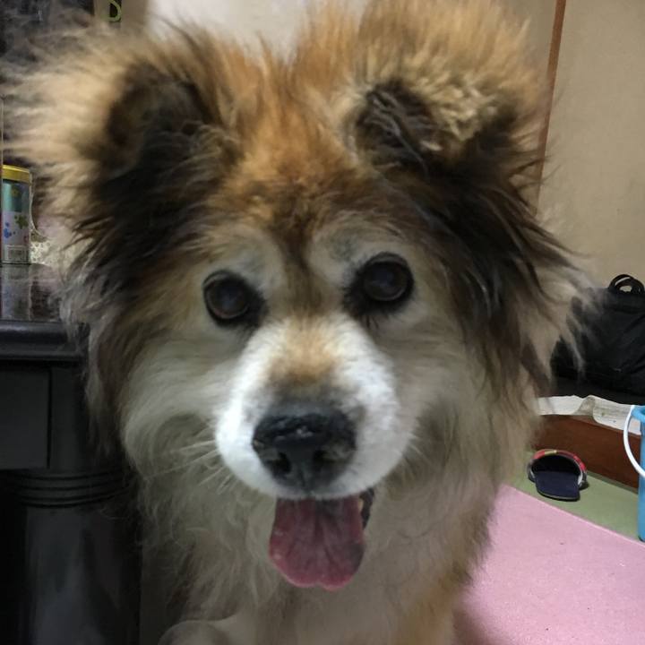 Ba5914a6 3ebd 4cbb ad40 1997e27d5db8 1567907979873