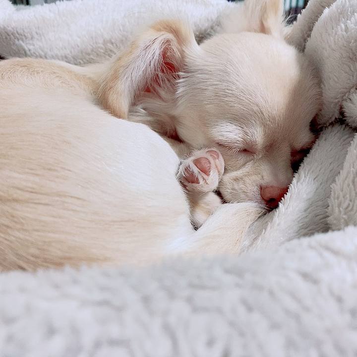 Ba591c29 9802 48d5 b747 c9dcedcc022d 1594955797452