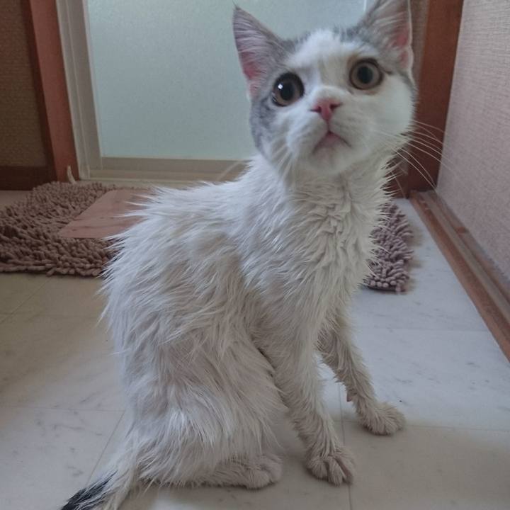 Ba59426a c444 470b 9c82 aefcc75e2d1d 1535252465800