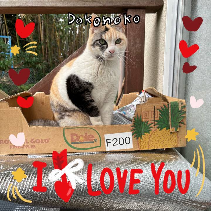 Ba594acf e16a 4b51 808c 0aeb3e2d9be1 1707137333075