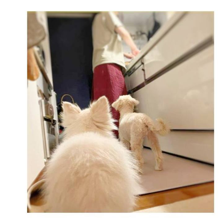 Ba598357 0dc1 46aa 9dbb 6f083d699b87 1662462367015